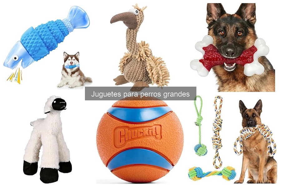 Mejores juguetes para perros grandes: reseñas y opiniones