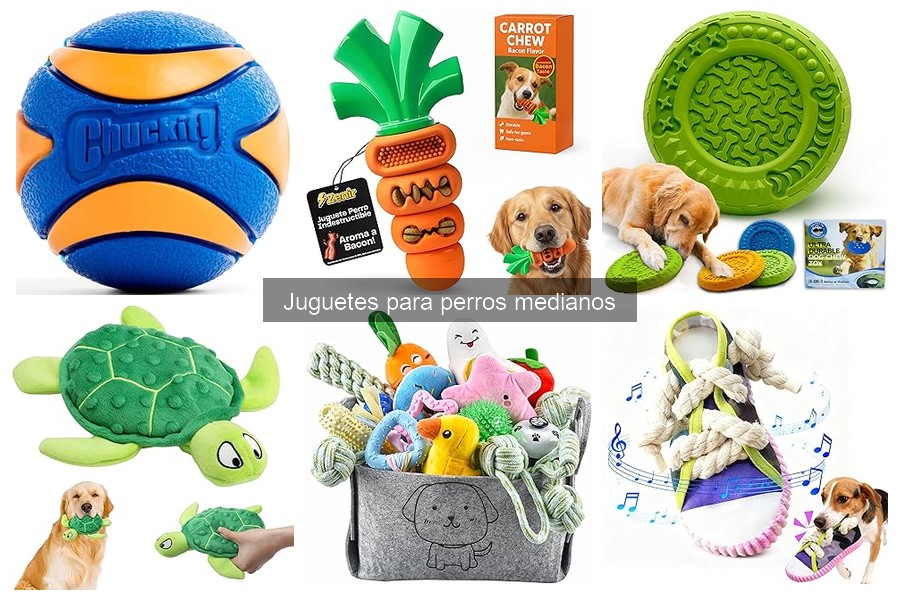 Mejores juguetes para perros medianos: guía completa