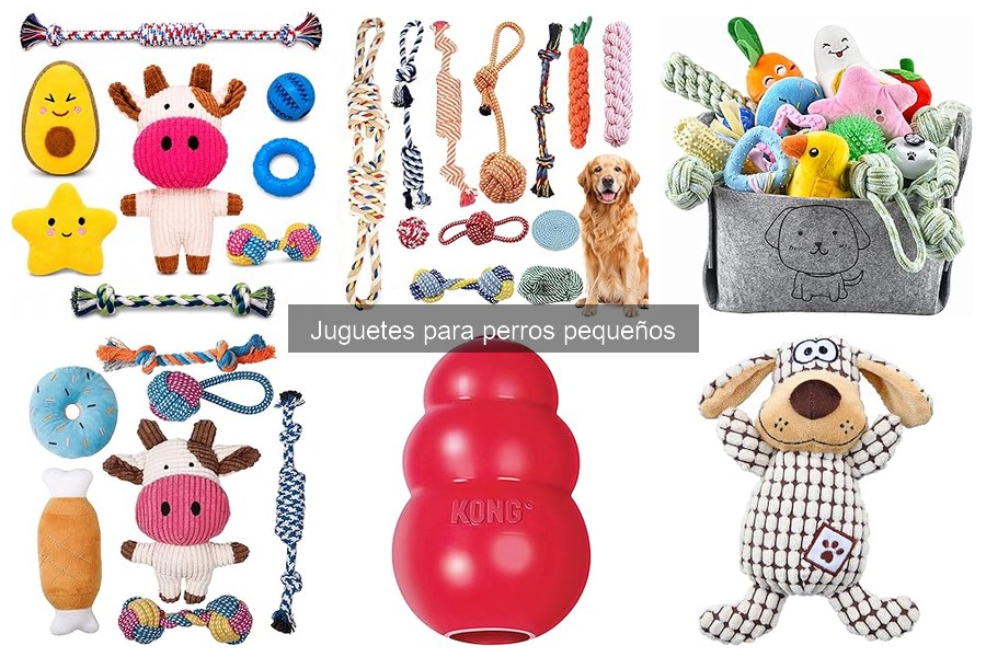 Mejores juguetes para perros pequeños según su personalidad