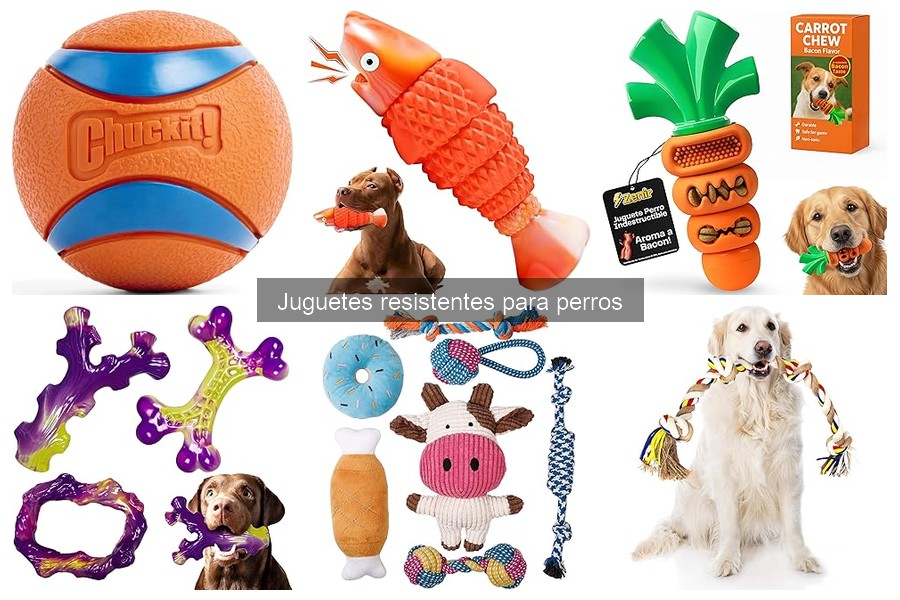 Mejores juguetes resistentes para perros grandes en comparación