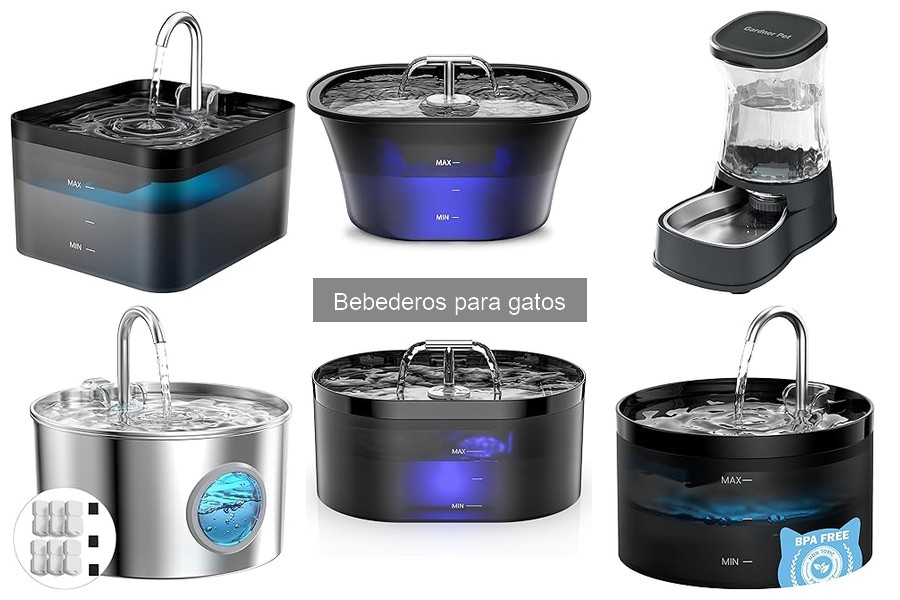 Mejores lugares para comprar bebederos para gatos baratos
