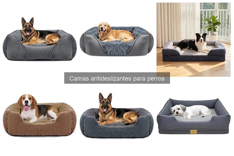 Mejores marcas de camas antideslizantes para perros
