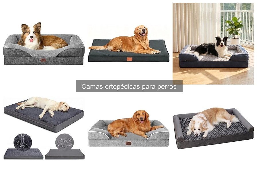 Mejores marcas de camas ortopédicas para perros en 2023