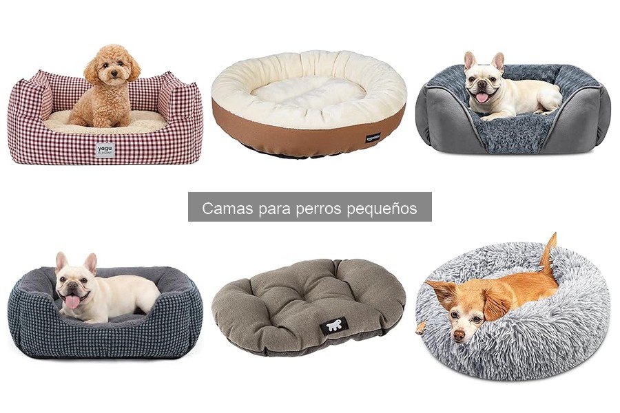 Mejores marcas de camas para perros pequeños en 2023