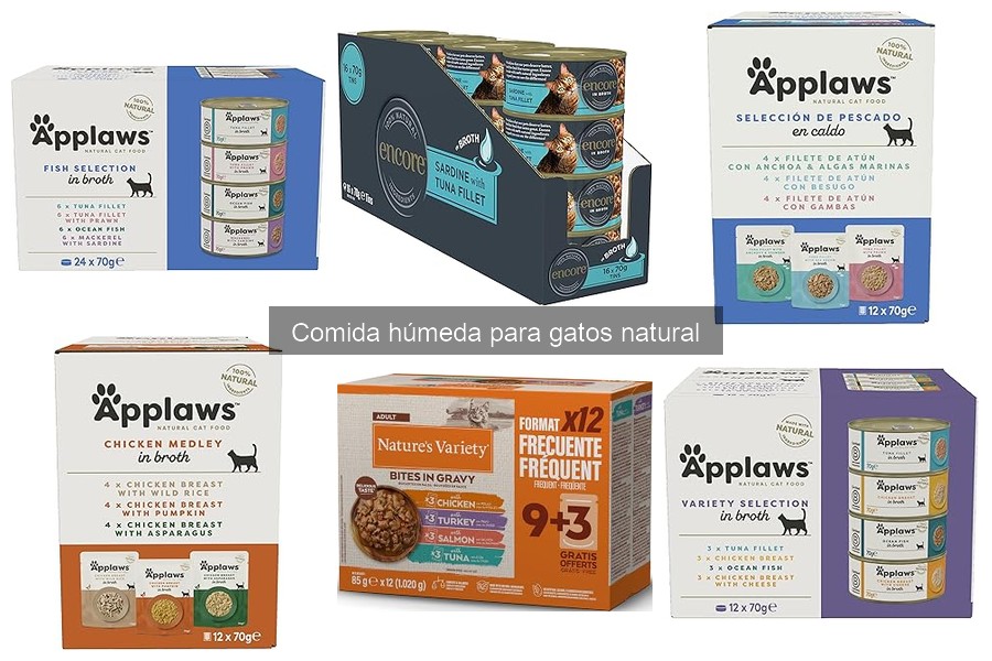 Mejores marcas de comida húmeda natural para gatos