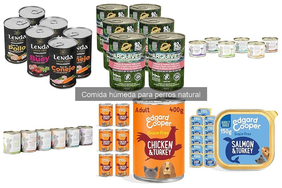 Mejores marcas de comida húmeda natural para perros