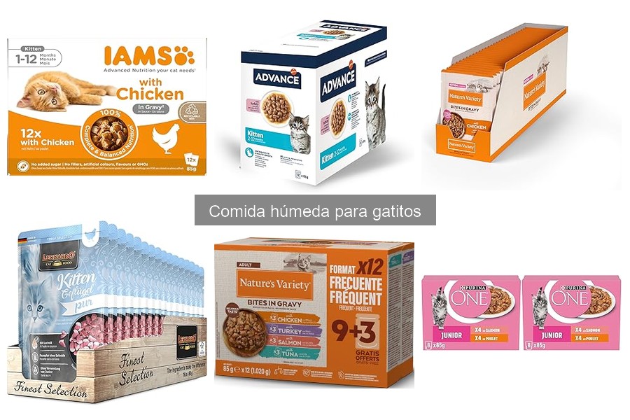Mejores marcas de comida húmeda para gatitos en 2023