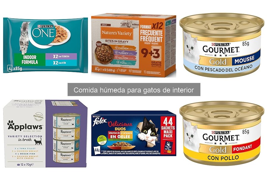Mejores marcas de comida húmeda para gatos de interior