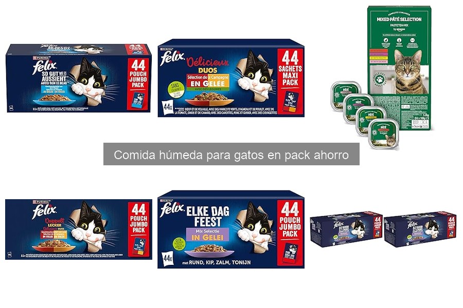 Mejores marcas de comida húmeda para gatos en comparación