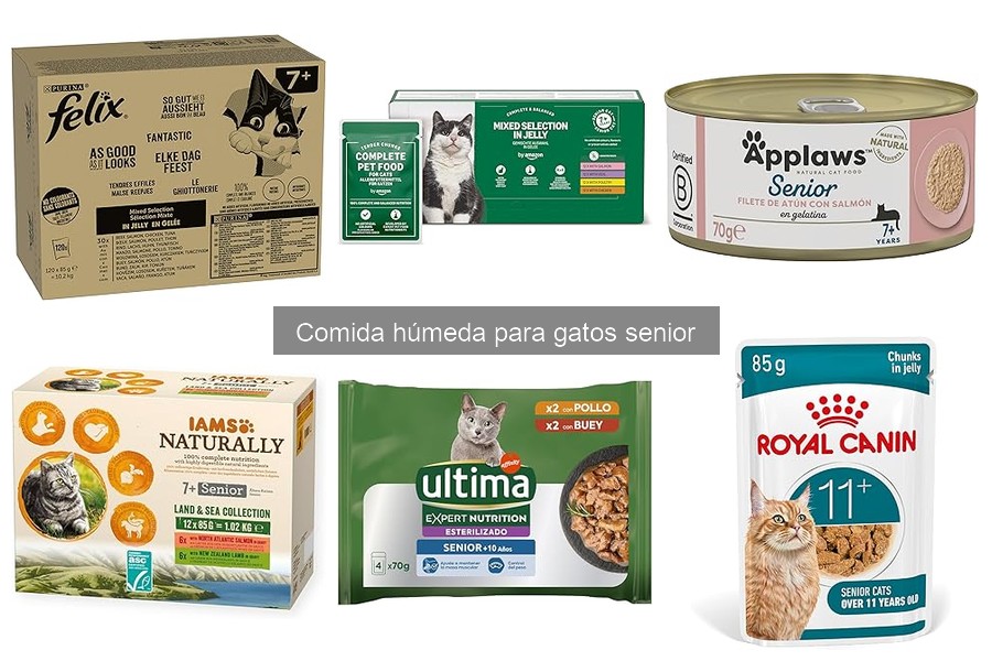 Mejores marcas de comida húmeda para gatos senior