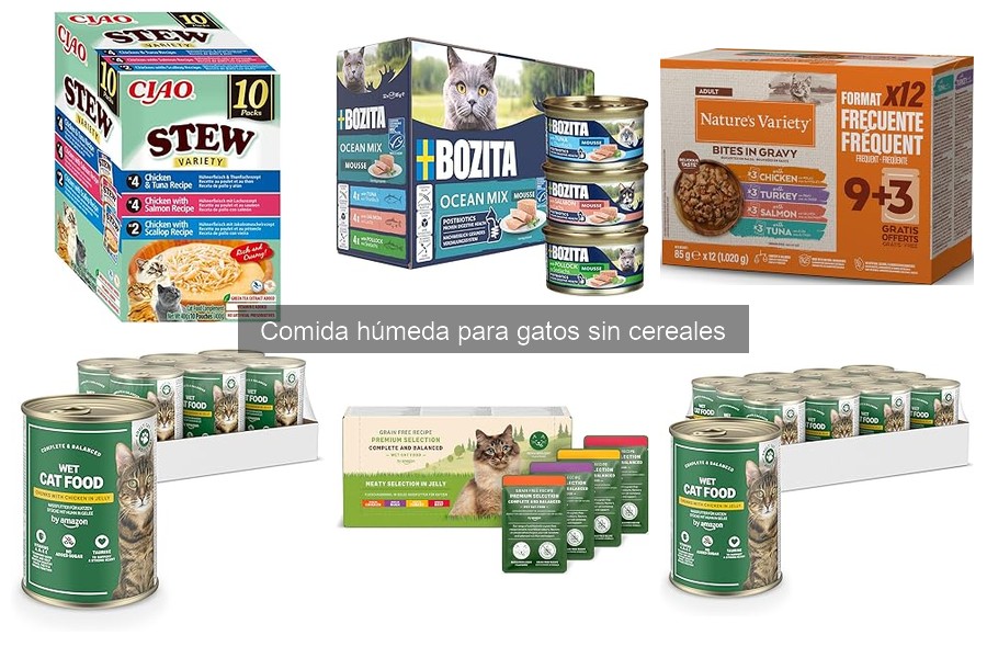 Mejores marcas de comida húmeda para gatos sin cereales