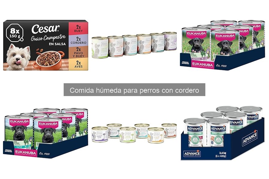 Mejores marcas de comida húmeda para perros con cordero