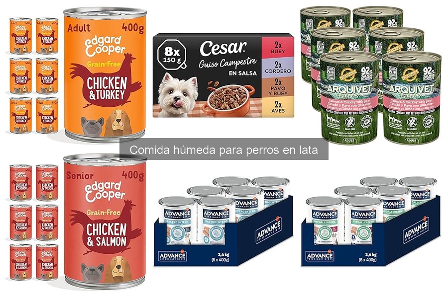 Mejores marcas de comida húmeda para perros en lata