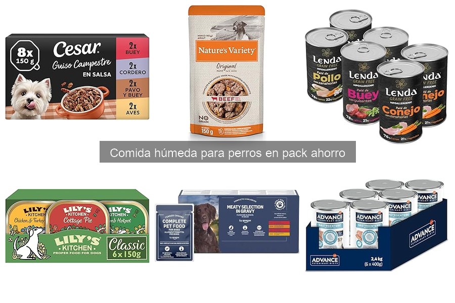 Mejores marcas de comida húmeda para perros en pack ahorro