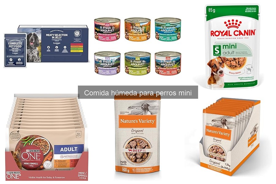 Mejores marcas de comida húmeda para perros mini comparativa