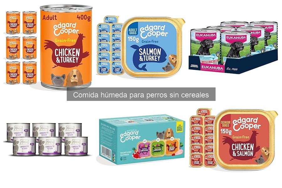 Mejores marcas de comida húmeda para perros sin cereales