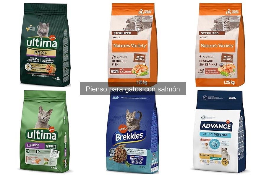 Mejores marcas de pienso para gatos con salmón en 2023