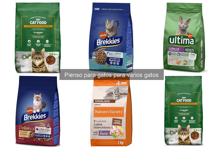Mejores marcas de pienso para gatos en 2023: Comparativa