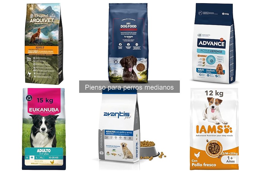 Mejores marcas de pienso para perros medianos en 2023