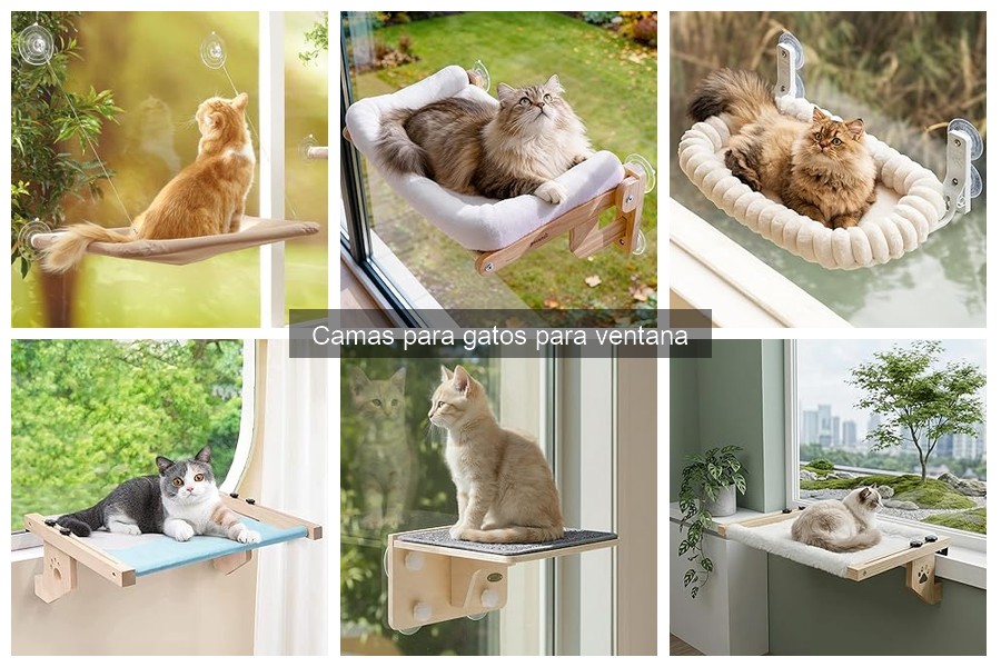 Mejores materiales para camas de gatos en la ventana