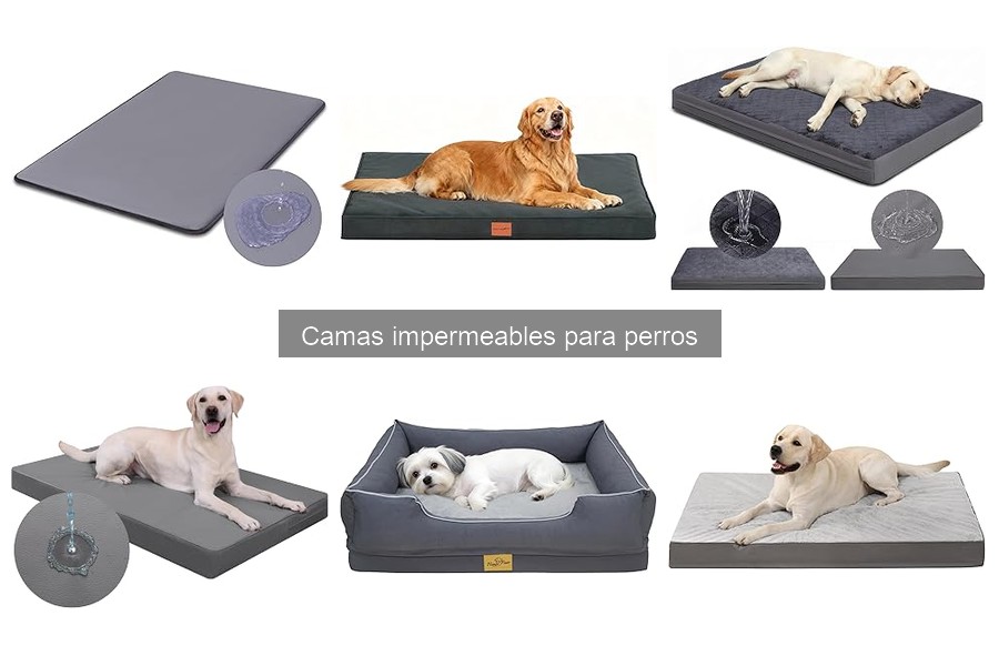 Mejores materiales para camas impermeables para perros