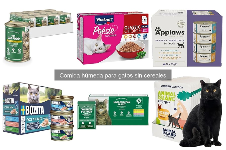 Mejores ofertas de comida húmeda para gatos sin cereales