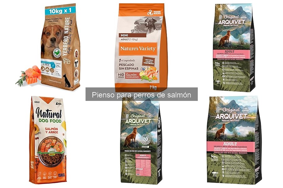 Mejores Ofertas de Pienso de Salmón para Perros en 2023