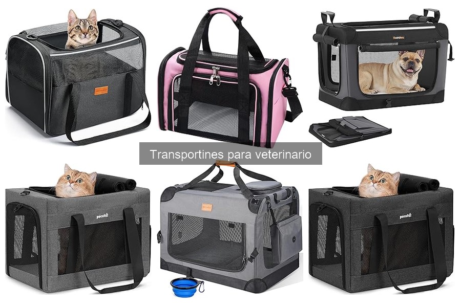 Mejores ofertas y precios de transportines para veterinario