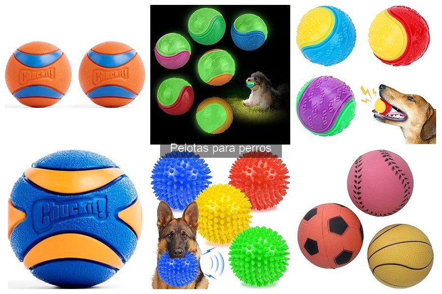 Mejores pelotas para perros grandes: comparativa de opciones
