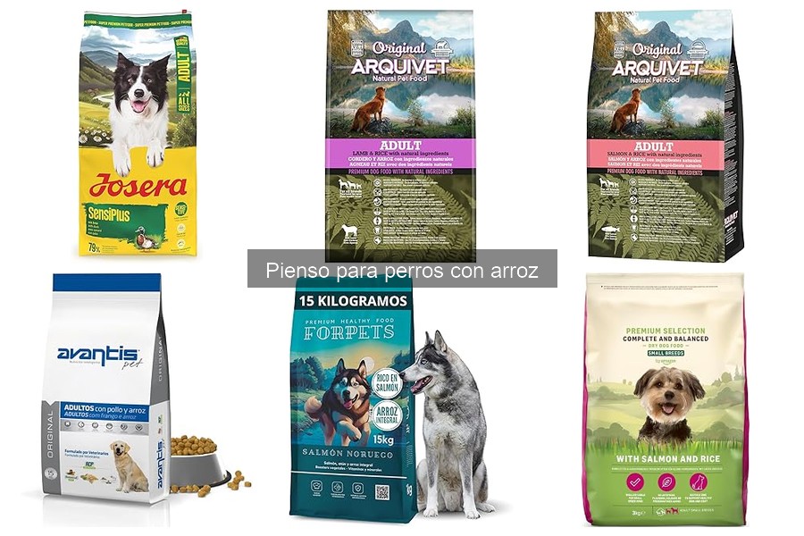 Mejores piensos con arroz para perros con estómago sensible