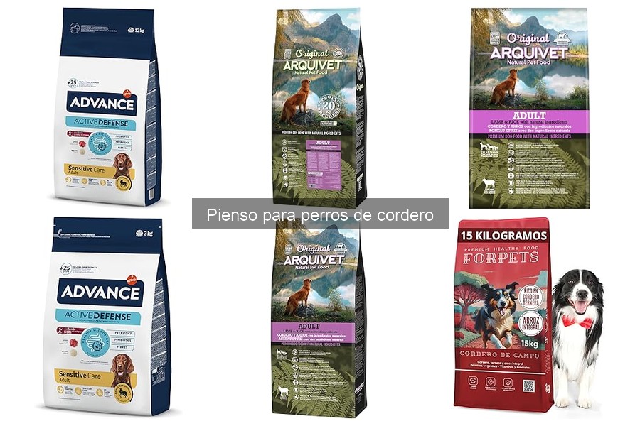 Mejores piensos de cordero para perros en comparación