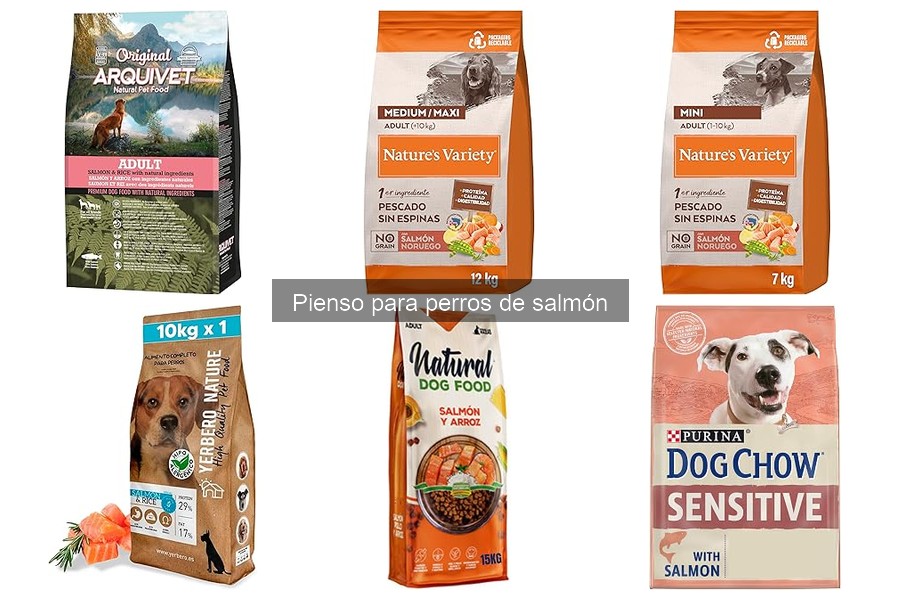 Mejores Piensos de Salmón para Perros: Comparativa y Recomendaciones
