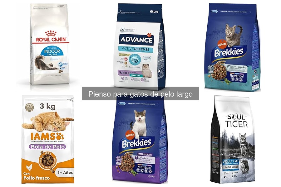 Mejores Piensos para Gatos de Pelo Largo en 2023