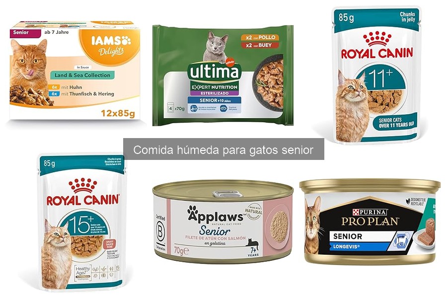 Mejores precios para comida húmeda para gatos senior