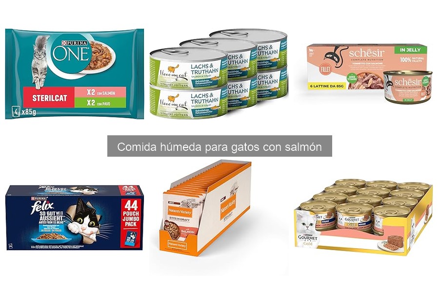 Mejores precios y ofertas de comida húmeda para gatos con salmón