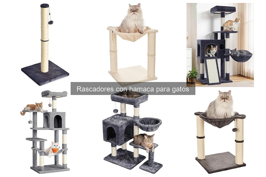 Mejores rascadores con hamaca para gatos grandes
