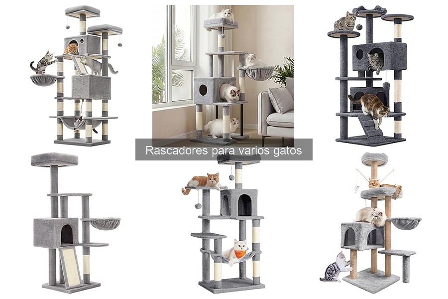 Mejores rascadores para hogares con varios gatos en 2023