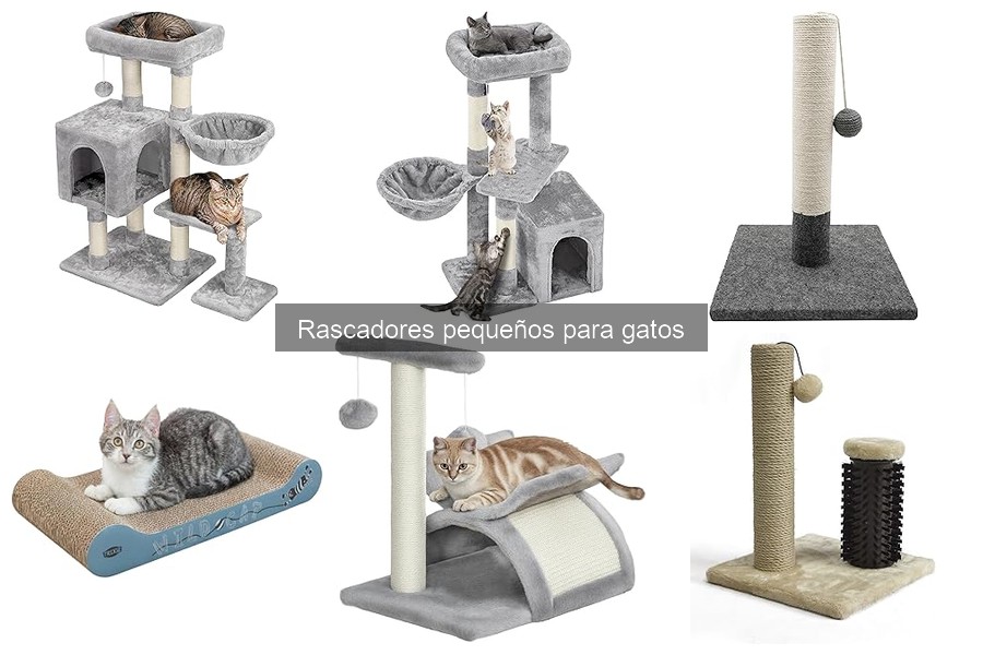 Mejores rascadores pequeños para gatos en 2023