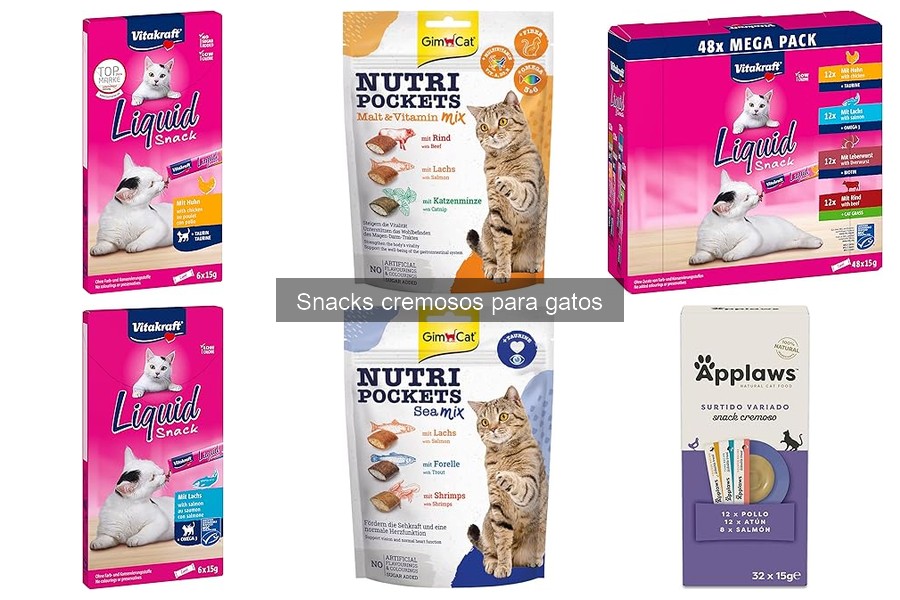 Mejores snacks cremosos para gatos con problemas digestivos