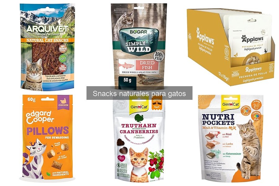 Mejores snacks naturales para gatos con sensibilidad estomacal