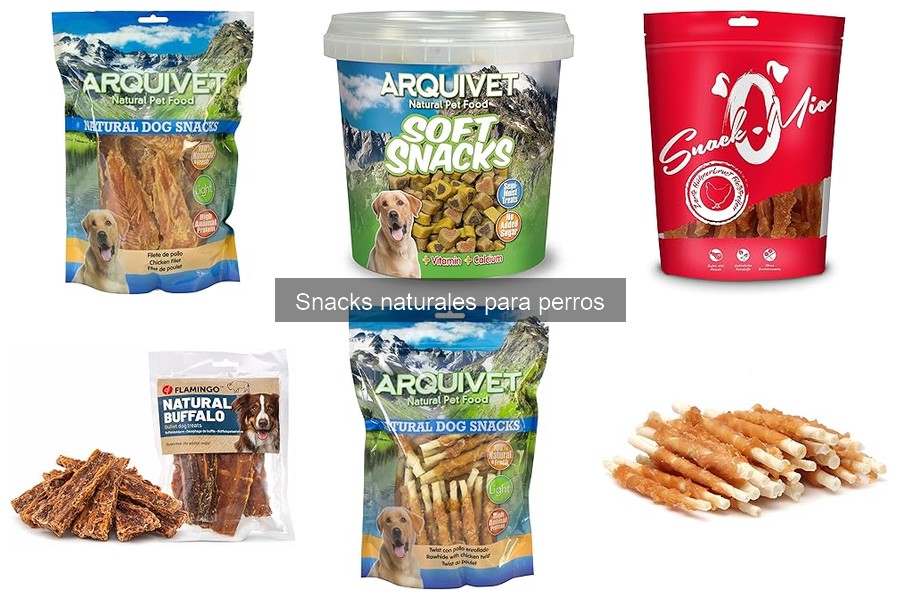 Mejores snacks naturales para perros con alergias