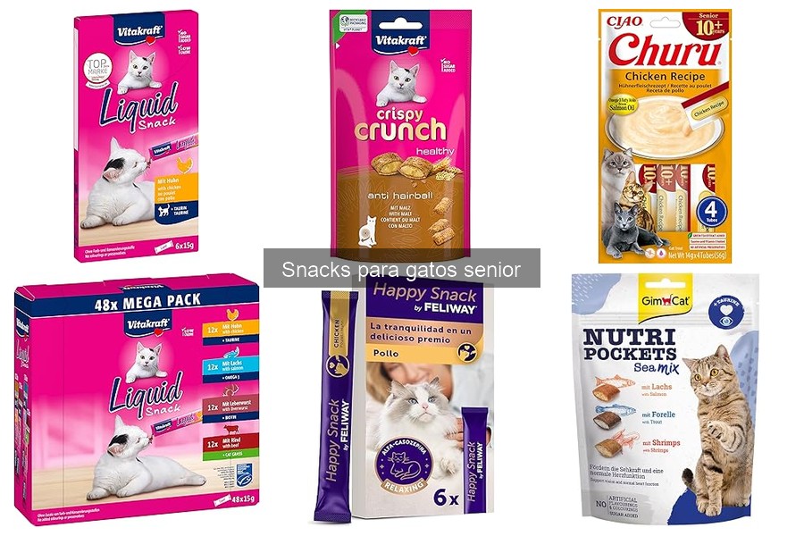 Mejores snacks para gatos senior: opciones saludables