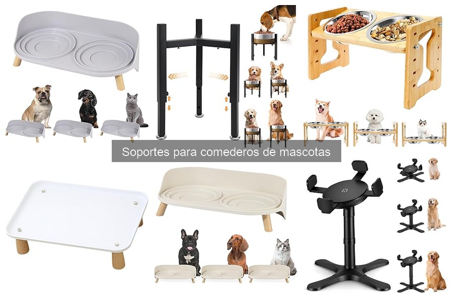 Mejores soportes para comederos de mascotas en 2023