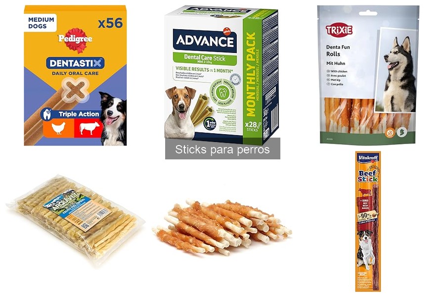 Mejores sticks para perros según la raza: Comparativa 2023