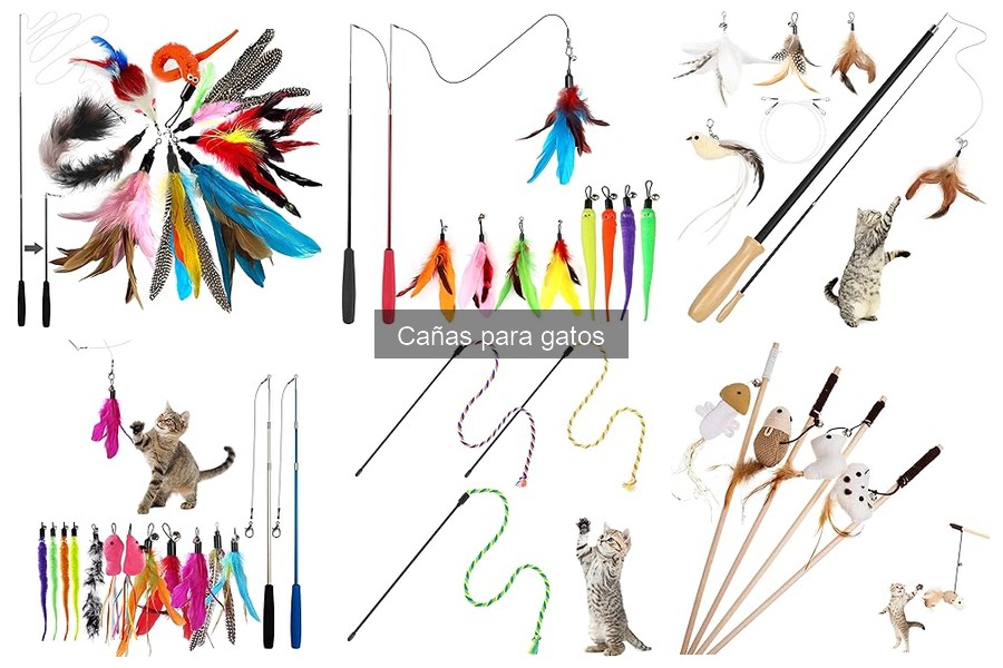 Mejores tipos de cañas para gatos: ¡diversión asegurada!