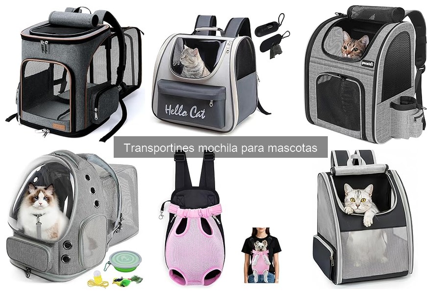 Mejores transportines mochila para gatos en 2023