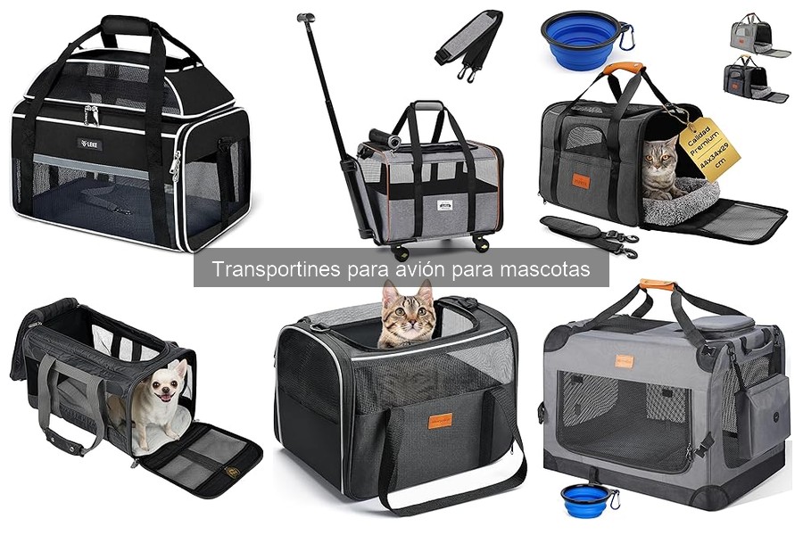 Mejores transportines para avión según tamaño de mascota