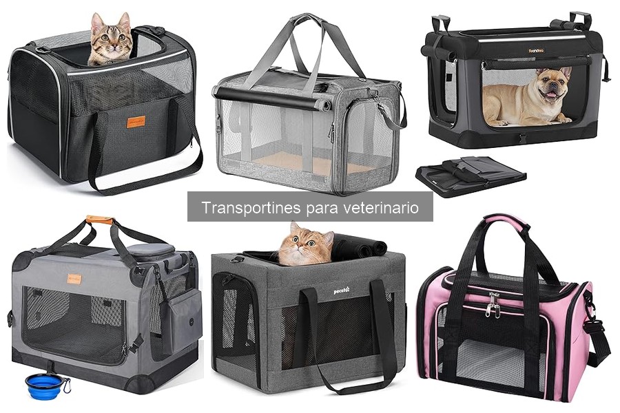 Mejores transportines para gatos en visitas al veterinario