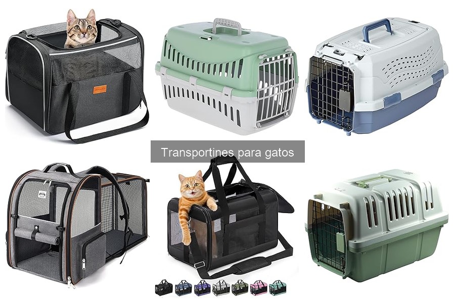 Mejores transportines para gatos según reseñas de usuarios