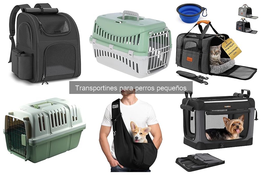 Mejores transportines para perros pequeños en 2023